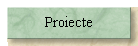 Proiecte