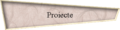 Proiecte