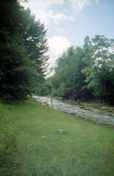 lamunte42005.jpg